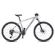 Mountainbike 4EVER Victory 29" - Modell 2025 - silver pearl/black - silver pearl/black