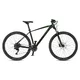 Mountainbike 4EVER FRONTBEE 29'' - Modell 2025 - foggy/silver - pearl black/green