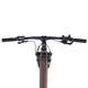 inSPORTline ISL Tachion EVO 835 Wh 29" Mountain-E-Bike – Modell 2026 • Reichweite bis zu 180 km - Deep Coffee