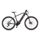 Mountainbike 4EVER Exstream Team 29" - chameleon/hologram - chameleon/hologram