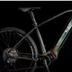 Mountainbike 4EVER Exstream Team 29" - chameleon/hologram