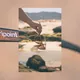 Sport-Sonnenbrille Tripoint Rajka - Shiny Transparent Brown Gradient Brown Cat.3