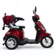 inSPORTline Marica Elektro-Dreirad