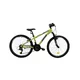 Junior Fahrrad DHS Teranna 24023 24" - Modell 2025 - Grün