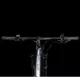 Mountainbike 4EVER Exstream Team 29" - chameleon/hologram