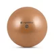 Yoga Ball inSPORTline 2 kg - schwarz - mocha mousse