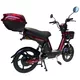 Elektro-Roller inSPORTline E-Greta 12Ah 18"
