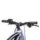 Mountainbike Crussis e-Fionna 7.10 720Wh 29" - Modell 2025