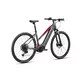 Crussis e-Cross Low 9.10 720Wh 28" - Modell 2025
