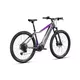 Mountainbike Crussis e-Fionna 9.10 900Wh 29" - Modell 2025