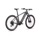 Mountainbike Crussis ONE-Largo 9.10 900Wh 29" - Modell 2025