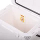 Kühlbox inSPORTline Arvelo