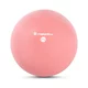 Yoga Ball inSPORTline 2 kg - mentolová - rosa