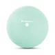 Yoga Ball inSPORTline 2 kg - mentolová - mentolová