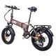 Klappbares Elektro-Fatbike inSPORTline ISL Baxom 20"