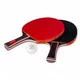 inSPORTline Ekholm Tischtennisset - Netz, 2 Schläger, 4 Bälle