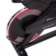inSPORTline Alfan Fahrradtrainer - schwarz