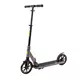 Klappbarer Motorroller inSPORTline Wayotan