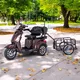 inSPORTline Zorica Elektro-Dreirad mit Anhänger - schwarz