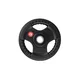 Gummierte Scheibe inSPORTline Graton 5 kg, 30 mm