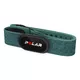 Polar H10 schwarz Brustgurt - schwarz