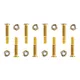 Skateboard-Schrauben 5x28 mm - golden - golden
