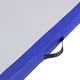 Airtrack inSPORTline Airstunt 500x100x10 cm weiß mit elektrischer Pumpe