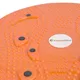 inSPORTline Magnetic Twister - orange