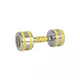 inSPORTline Yellsteel 6 kg Chromhantel