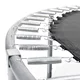 Federn für Trampolin inSPORTline Irbiso 305, 366 und 427 cm - Länge 14 cm, 10 Stück