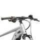 Mountainbike Kross Hexagon Boost 3.0 29" Gen 004 - stříbrná / černá / lesk