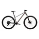 Mountainbike Kross Level X100 29" – Modell 2026 - šedá / hnědá / matný