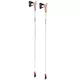 Nordic Walking Leki Passion 2019 Stöcke