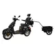 inSPORTline Antun Elektro-Quad mit Anhänger - grün - schwarz