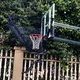 Basketball-Sammler inSPORTline Havaster