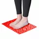 inSPORTline Tilsipur 39x29 cm Fußmassagematte - blau - rot