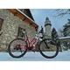 Cross E-Bike Crussis e-Cross Lady 9.6-M - model 2021