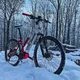 Cross E-Bike Crussis e-Cross Lady 9.6-M - model 2021
