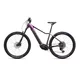 Mountain E-Bike Crussis e-Fionna 10.11 894Wh 29" - Modell 2026