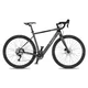 Gravel-E-Bike 4EVER ENGRAVE PRO 28" - titan/hologram - titan/hologram