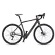 Gravel-E-Bike 4EVER ENGRAVE PRO 28" - titan/hologram - titan/metal gold
