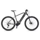 Mountainbike 4EVER Exstream PRO 820Wh 29" - Modell 2025 - snake green/hologram - grey diamond/silver