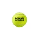 Tennisbälle Wilson RG All Court 4pcs