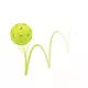 Pickleball-Set mit Netz inSPORTline RPS300