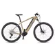 Mountainbike 4EVER Esword Team M510 29" - Sand/Metal Silver - Sand/Metal Silver